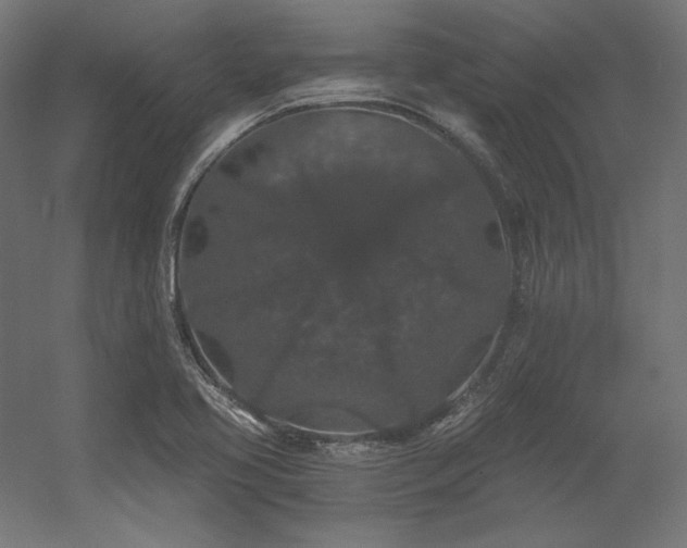 X0000056321413200509021551