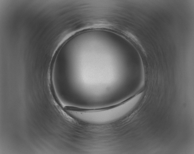 X0000056321420200509021551