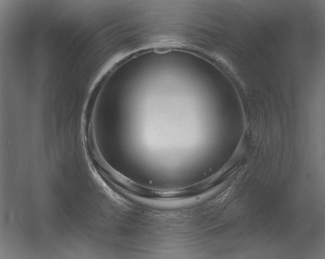 X0000056321422200509021551