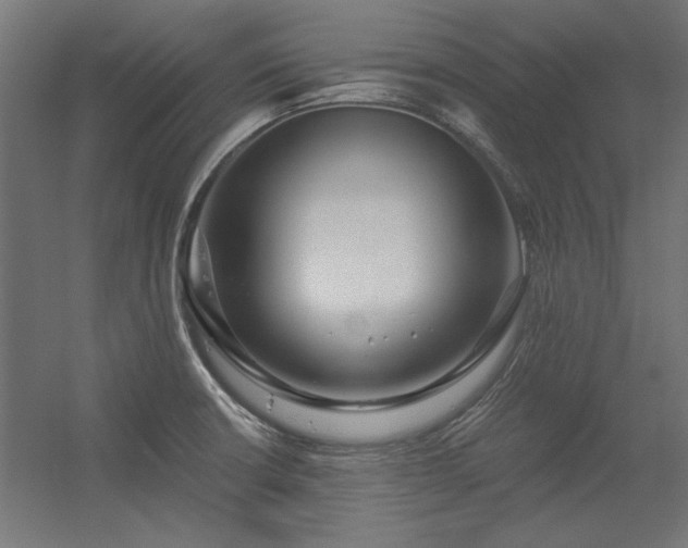 X0000056321426200509021551