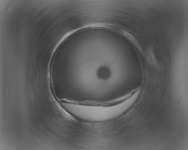 X0000056321428200509021551
