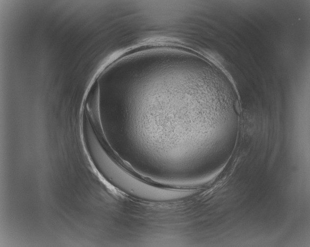 X0000056321437200509021551