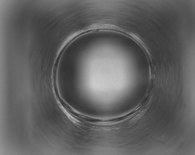 X0000056321438200509021551