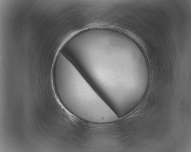 X0000056321440200509021551