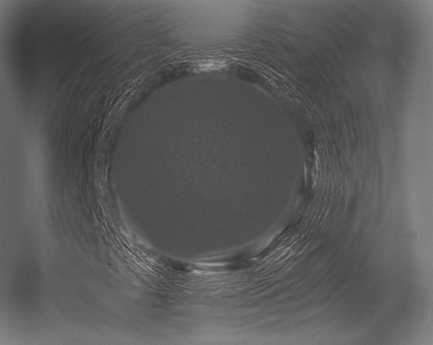 X0000056321441200509021551