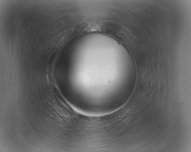 X0000056321442200509021551