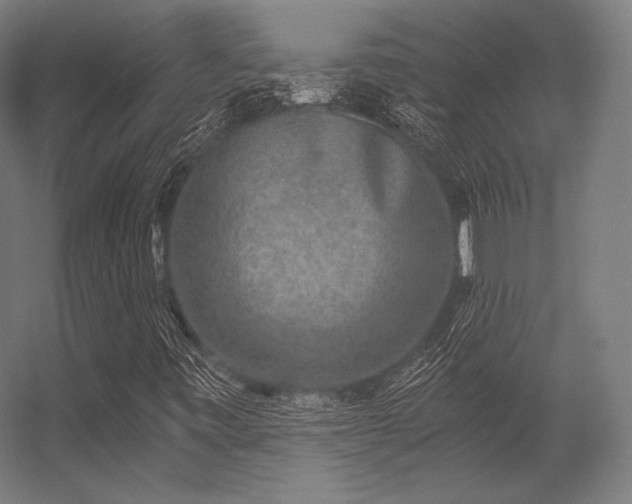 X0000056321443200509021551