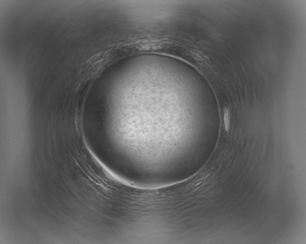 X0000056321444200509021551