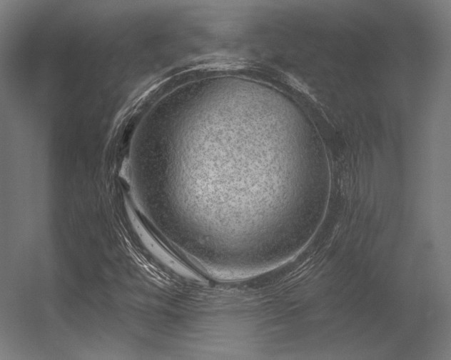 X0000056321448200509021551