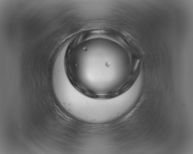 X0000056321449200509021551