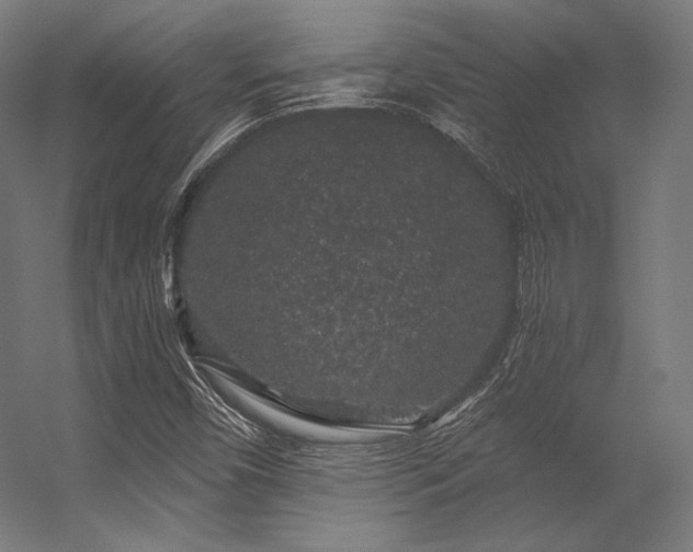 X0000056321450200509021551