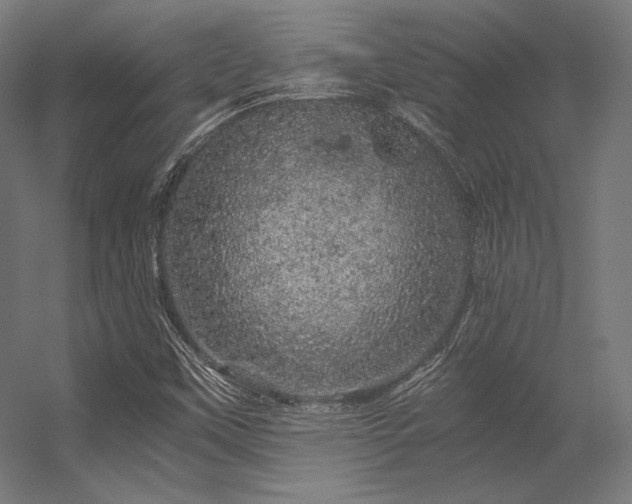 X0000056321451200509021550