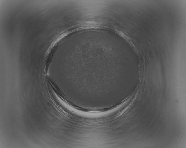 X0000056321453200509021550