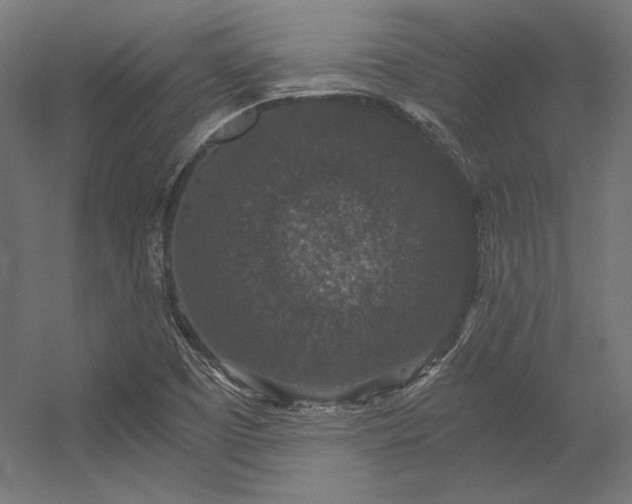 X0000056321457200509021550