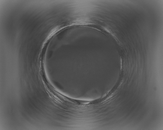 X0000056321459200509021550