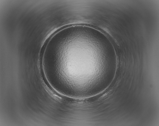 X0000056321460200509021550
