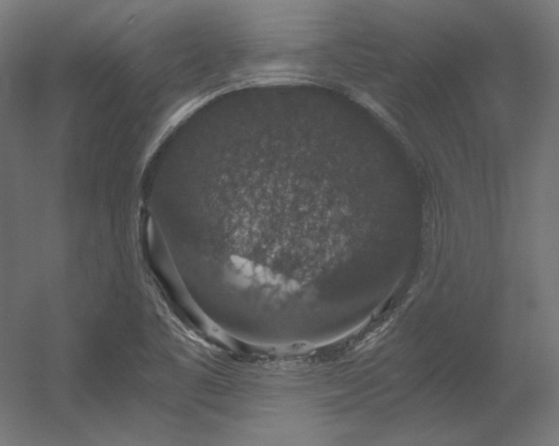 X0000056321461200509021550