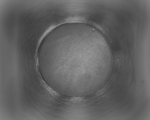 X0000056321462200509021550