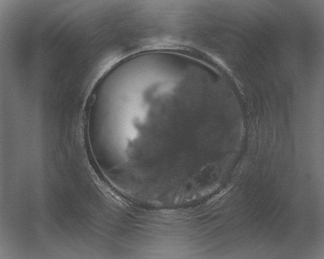 X0000056321463200509021550