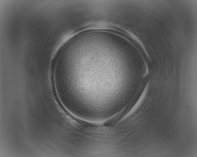 X0000056321464200509021550