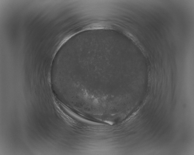 X0000056321465200509021550