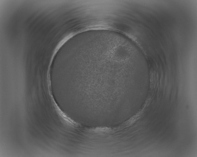 X0000056321466200509021550