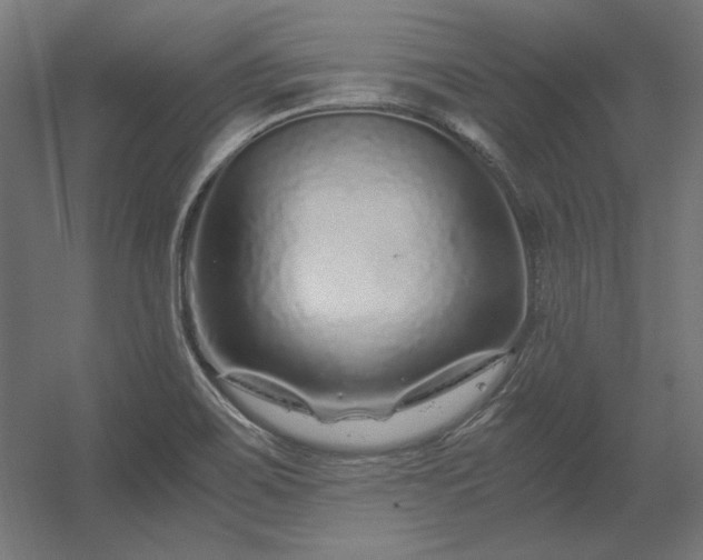 X0000056321467200509021550