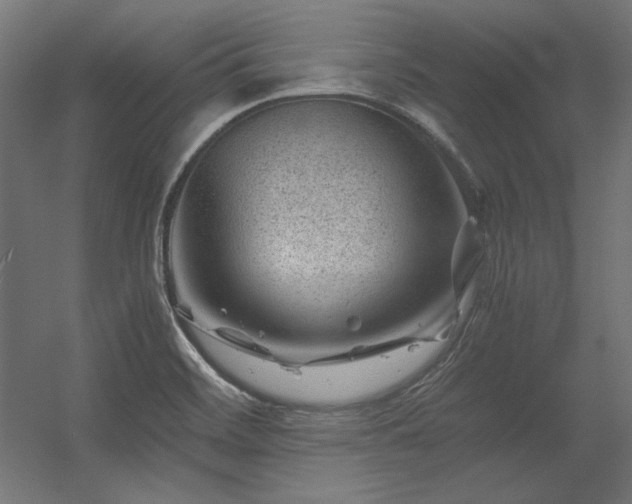 X0000056321468200509021550