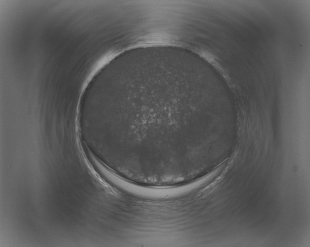 X0000056321469200509021550