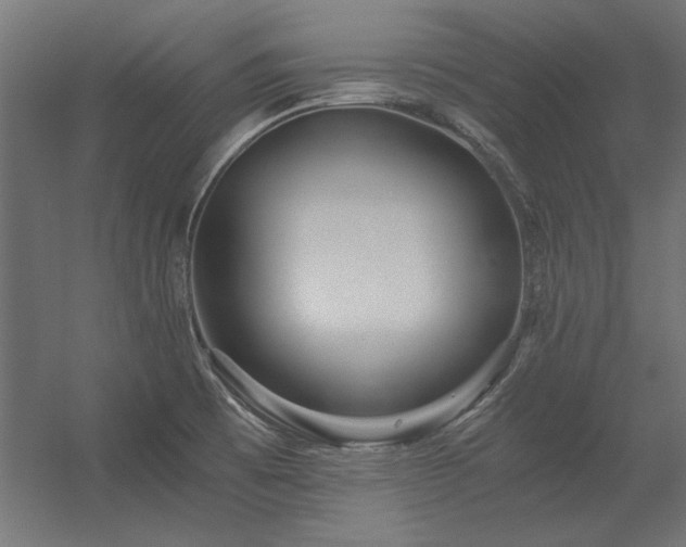 X0000056321473200509021550