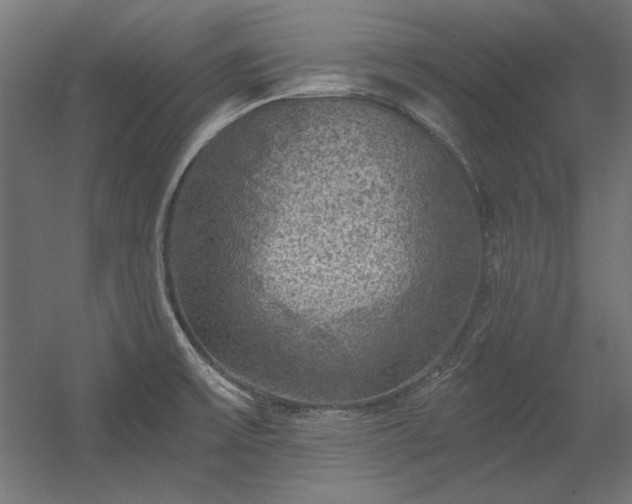 X0000056321475200509021550