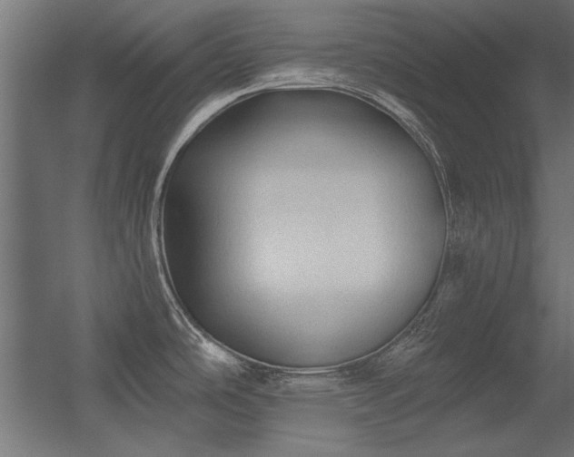 X0000056321486200509021550