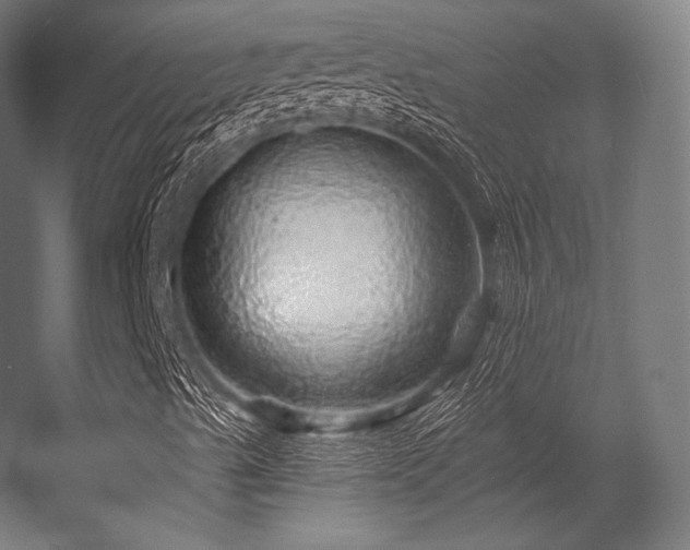 X0000056321489200509021549