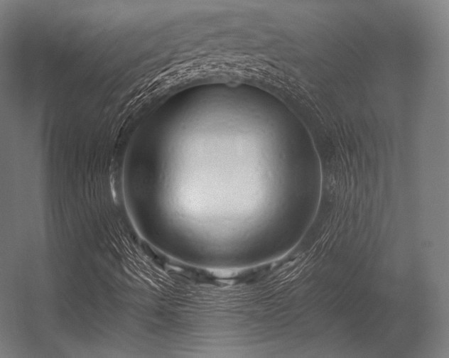 X0000056321490200509021549
