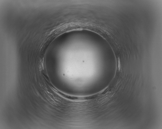 X0000056321492200509021549
