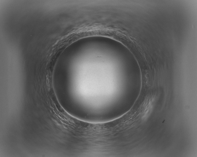 X0000056321493200509021549