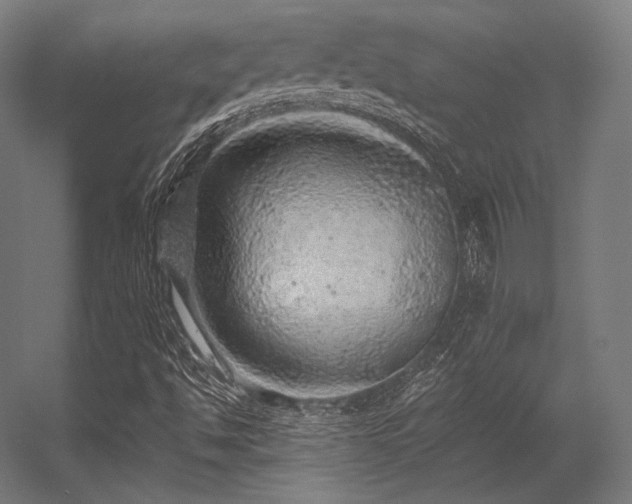 X0000056321494200509021549