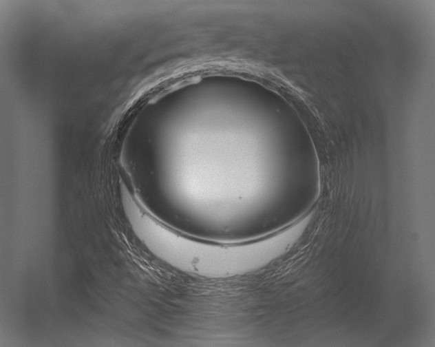 X0000056321496200509021549