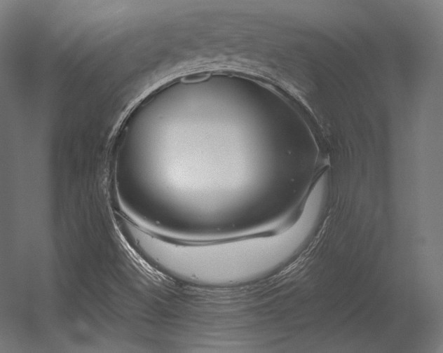 X0000056321500200509021549
