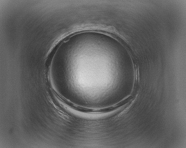 X0000056321501200509021549