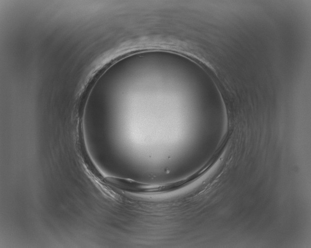 X0000056321507200509021549
