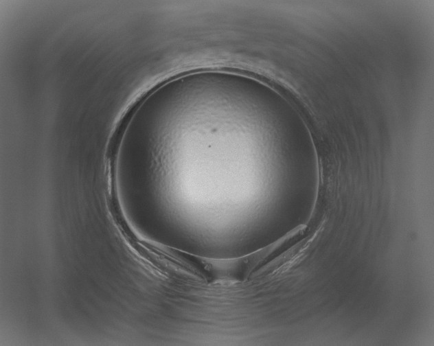 X0000056321509200509021549