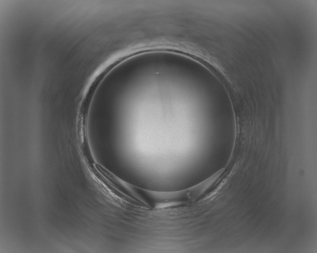 X0000056321510200509021549