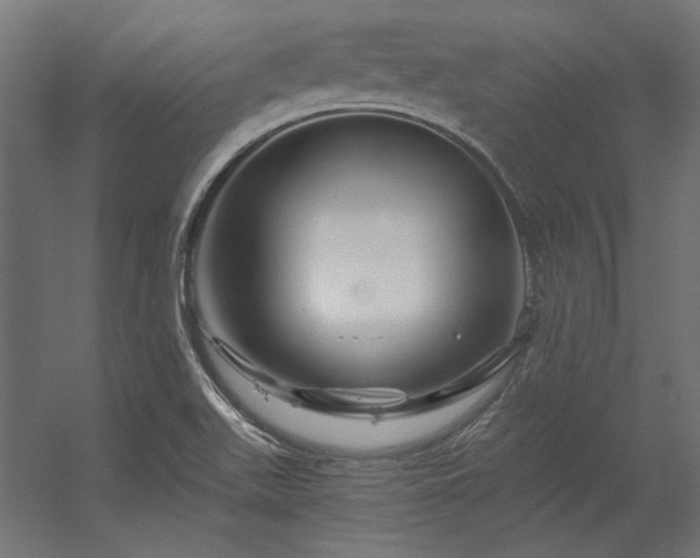 X0000056321511200509021549
