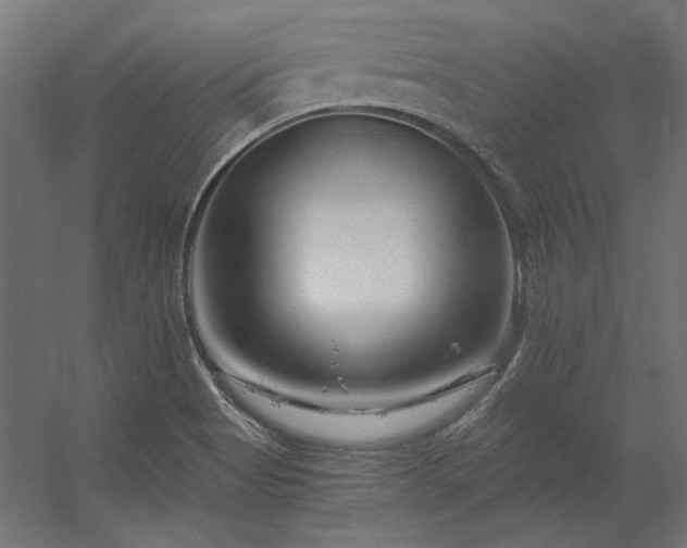X0000056321513200509021549