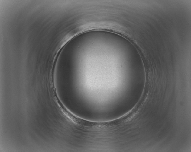 X0000056321521200509021550