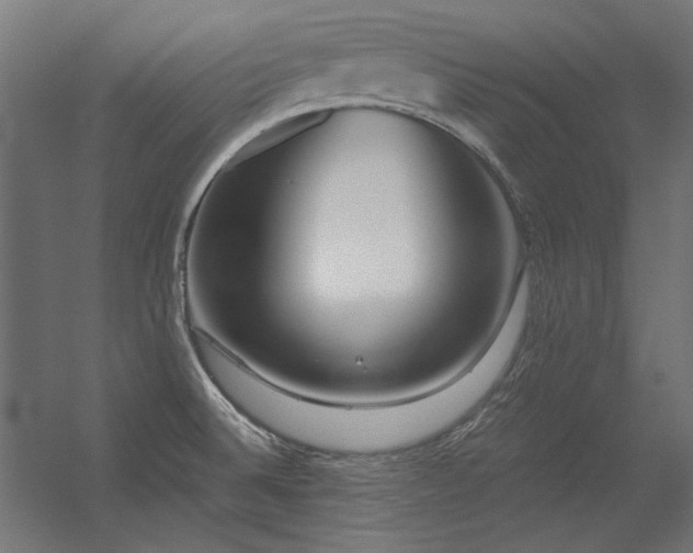 X0000056321524200509021550