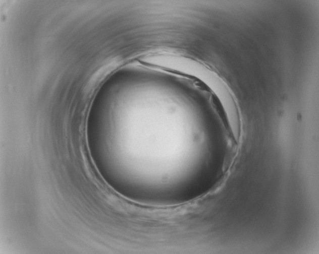 X0000056320001200509092314