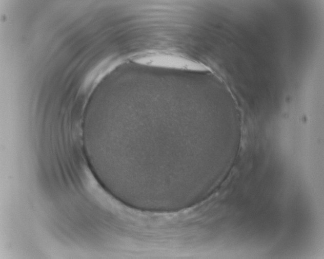 X0000056320002200509092314