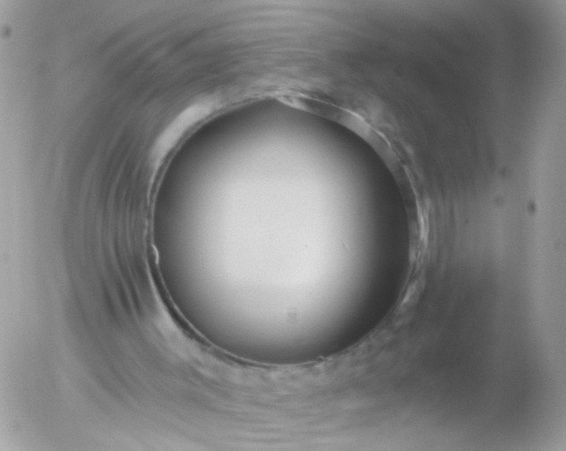 X0000056320003200509092314